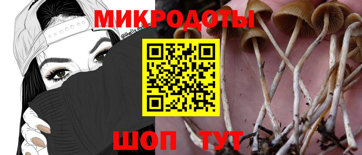 Галлюциногенные грибы ЛСД  Вход с VPN  Галлюциногенные грибы Magic Shrooms  Павлово 